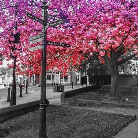 The Boathouse 2 Bedroom In Holiday home *